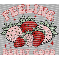 Cartoons and other-CO 893